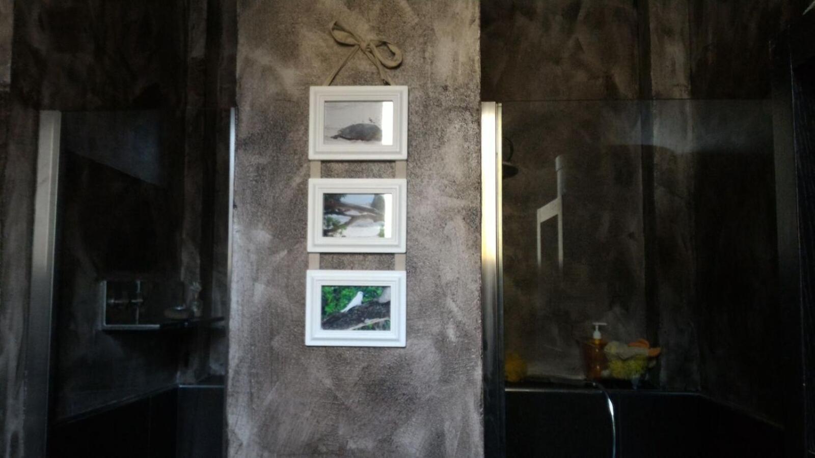 Apartmán La Finestra Boloňa Exteriér fotografie