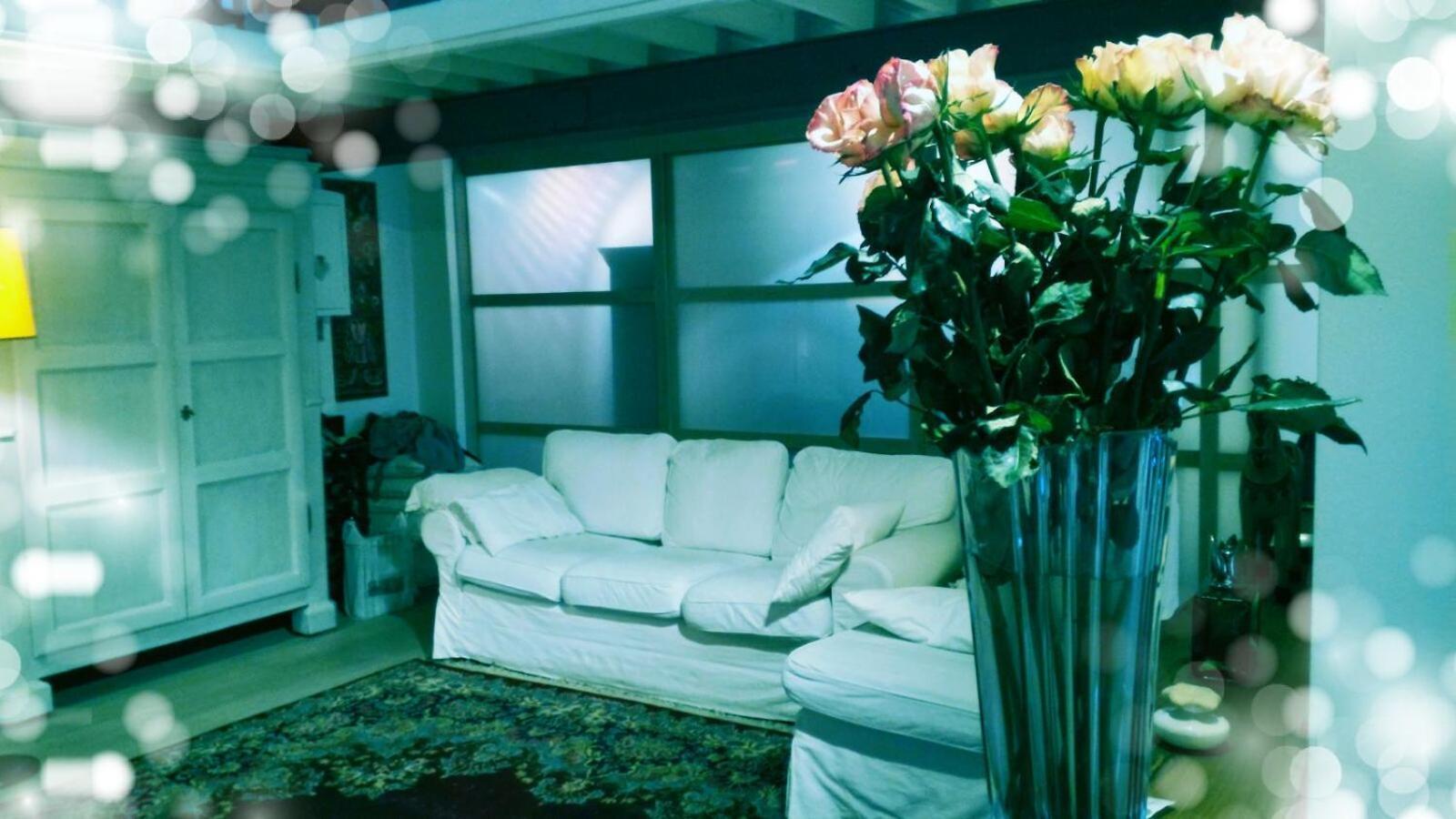 Apartmán La Finestra Boloňa Exteriér fotografie